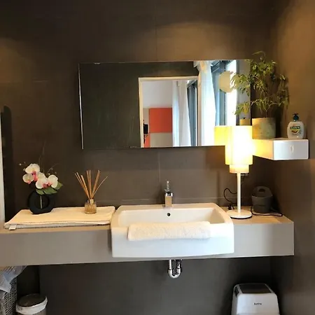 Montfleury: Dual Terrace Retreat Near Croisette Apartment Cannes